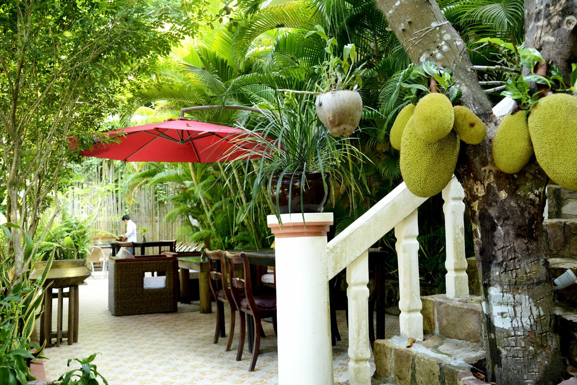 Tropical Hill Kep Cambodia Hotel Kültér fotó