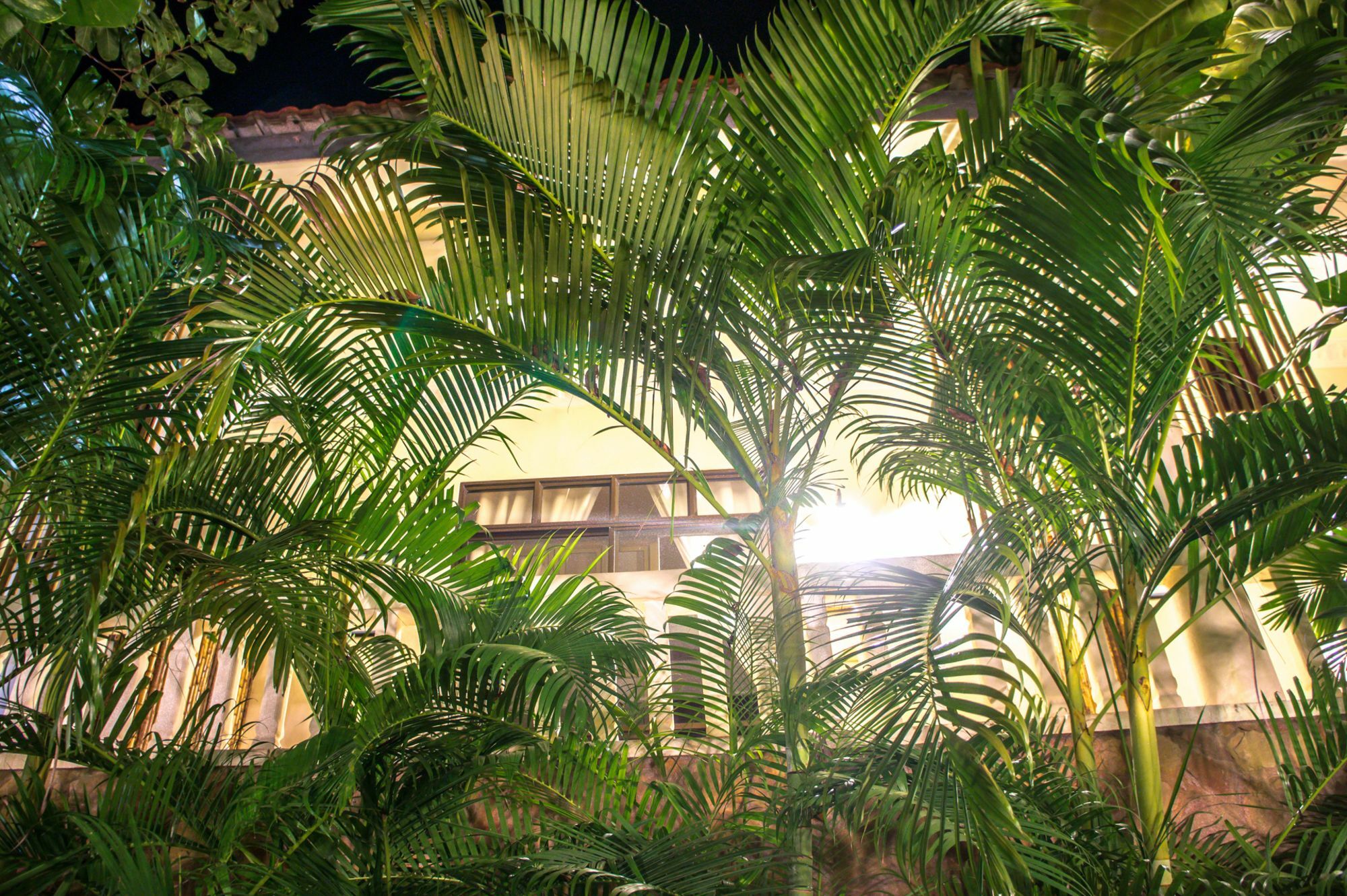 Tropical Hill Kep Cambodia Hotel Kültér fotó