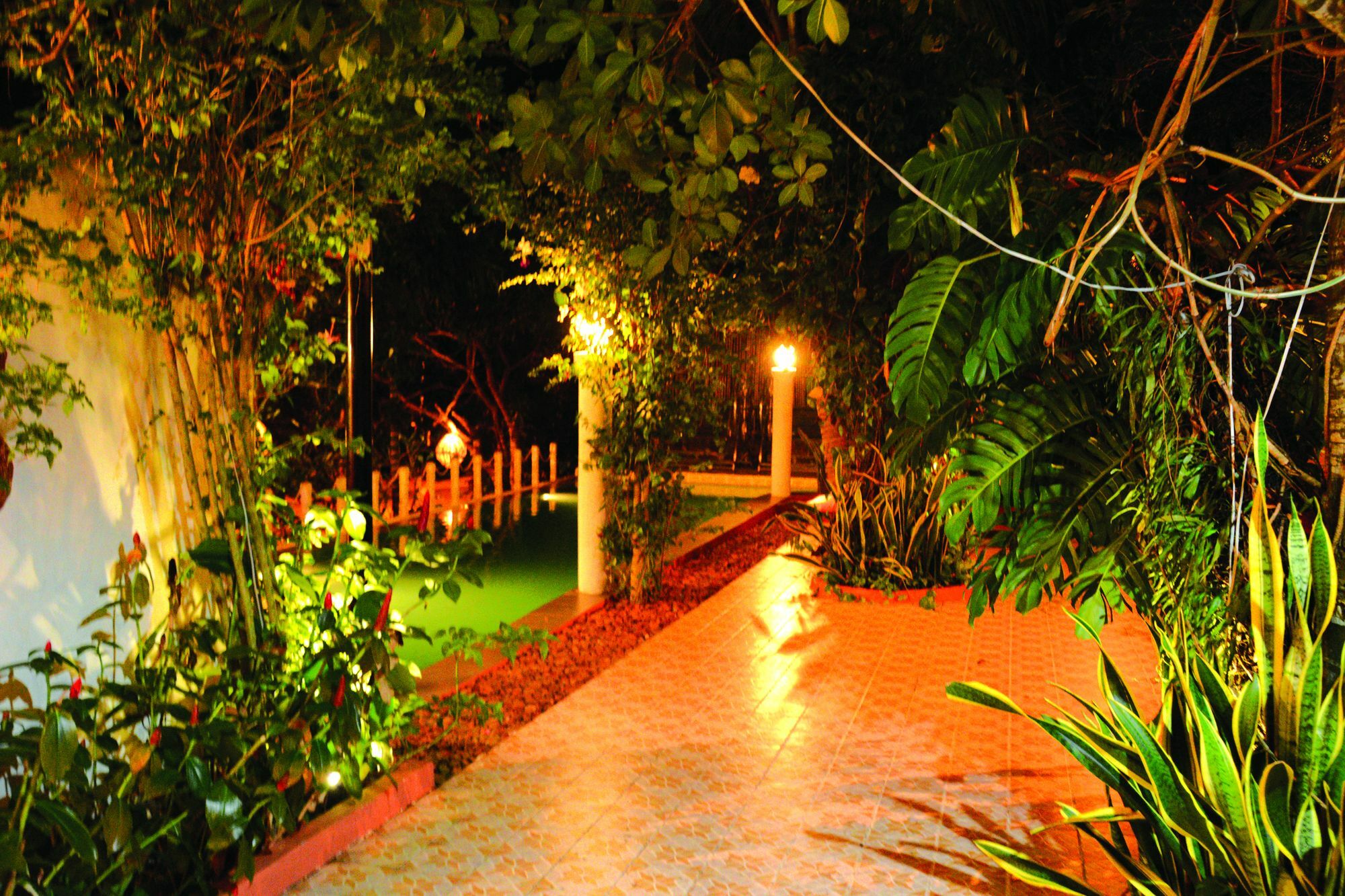 Tropical Hill Kep Cambodia Hotel Kültér fotó